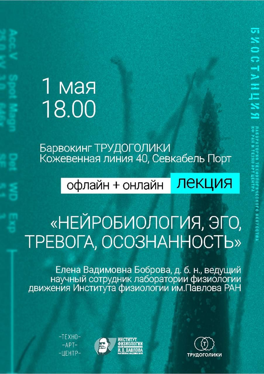 Лекция «Нейробиология, эго, тревога, осознанность»