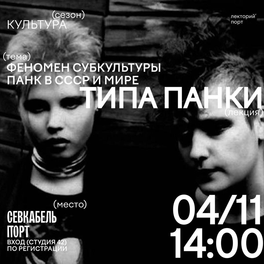 Типа панки. Феномен субкультуры панк в СССР и мире